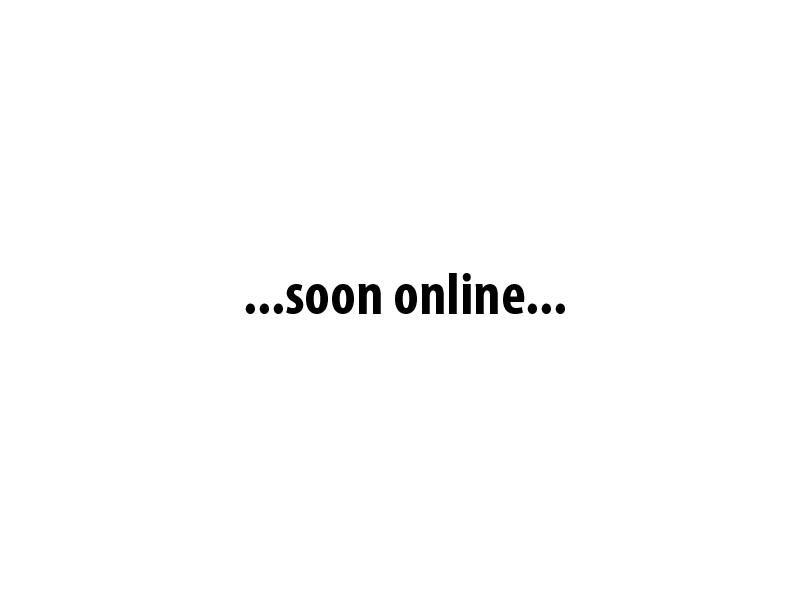 Sito in costruzione